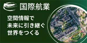 国際航業