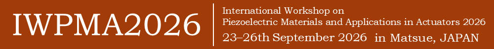 International Workshop on Piezoelectric Materials and Applications in Actuators