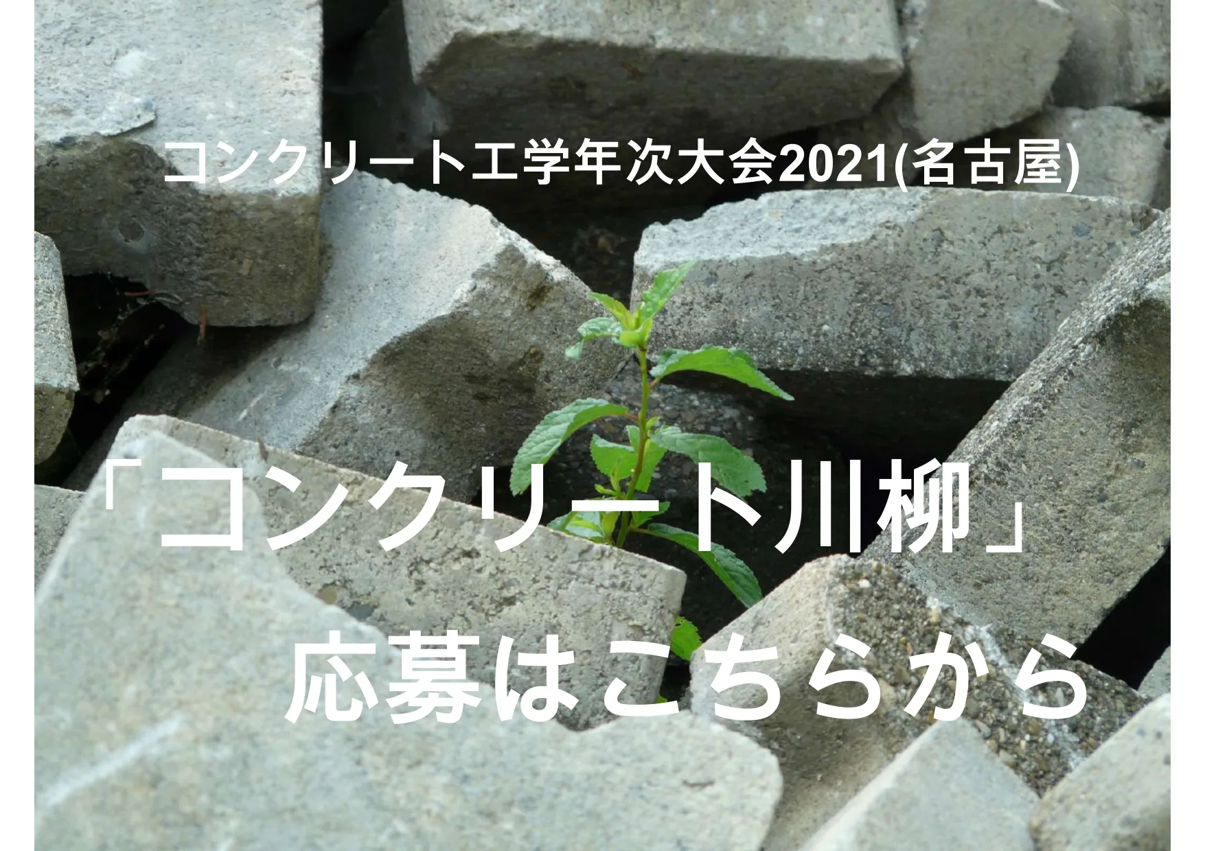 川柳応募