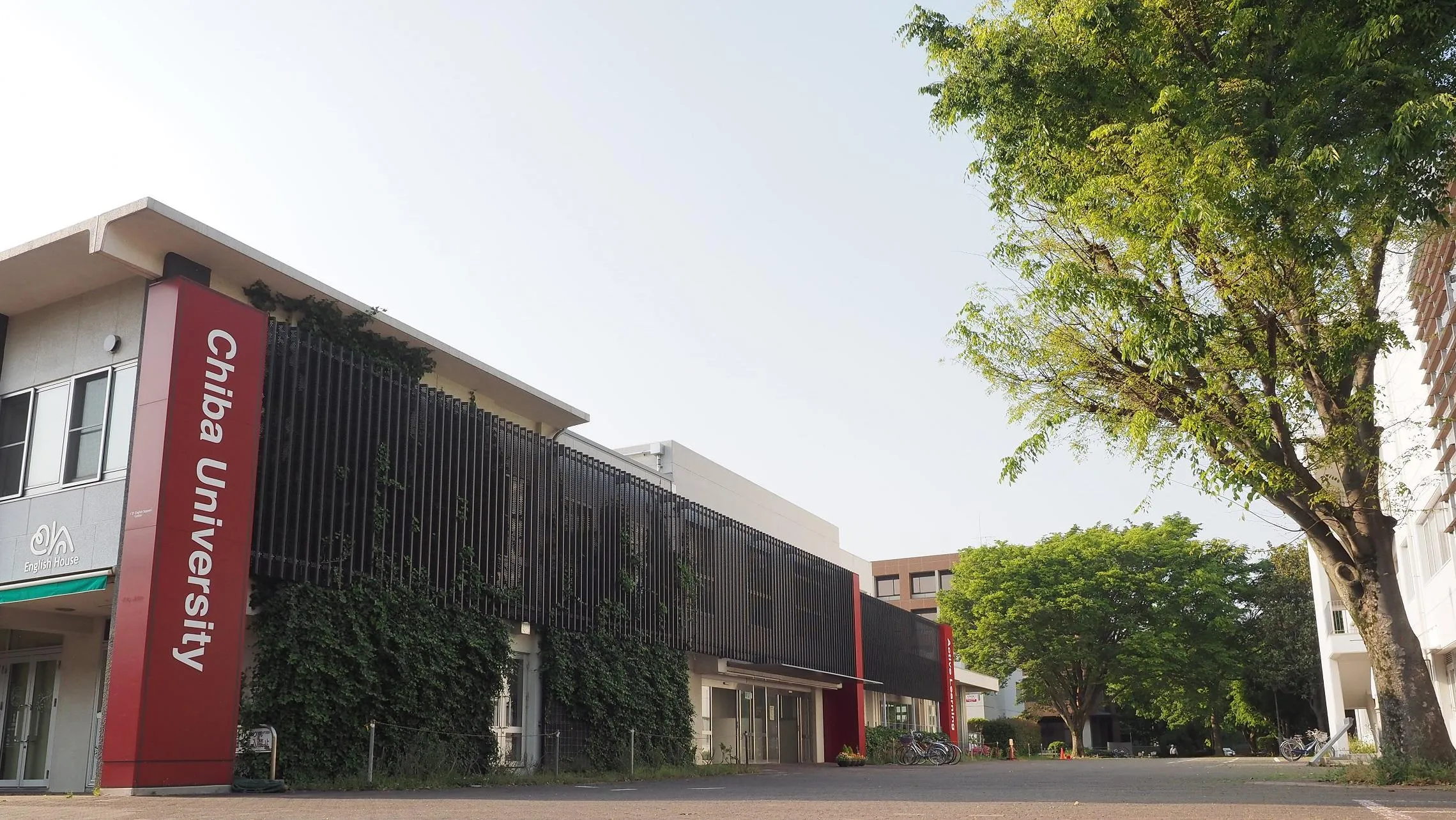 千葉大学