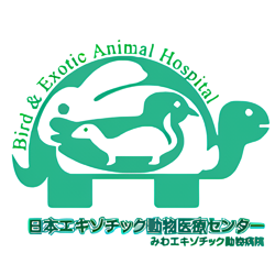 日本エキゾチック動物医療センター