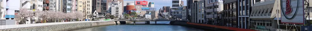 The Annual Meeting of the Molecular Simulation Society of Japan