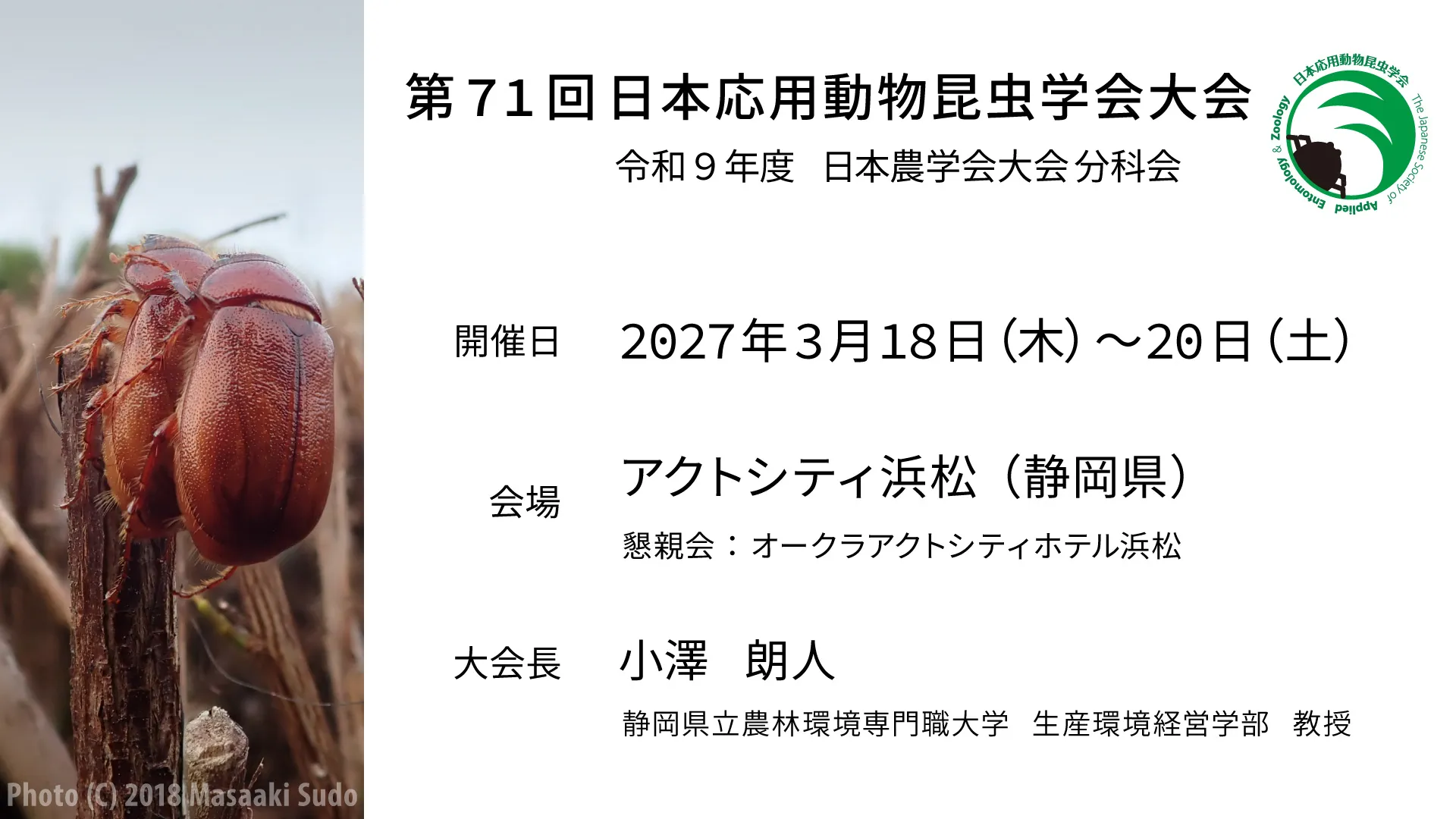 odokon71 top image