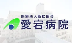 愛宕病院