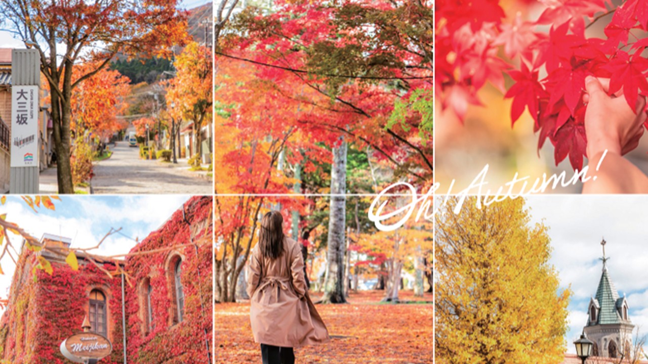 Hakodate autumn scenery